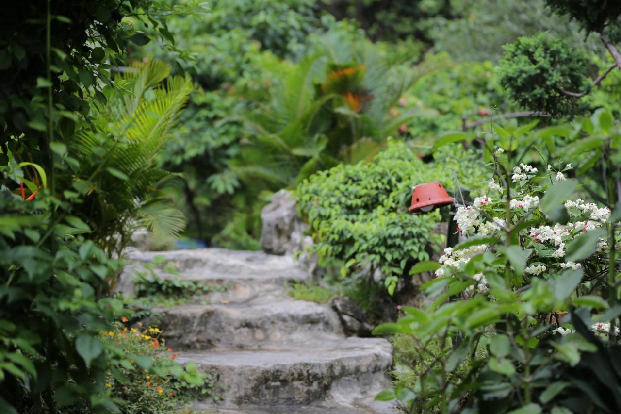 Tam Coc Lion Kings Hotel & Resort ニンビン エクステリア 写真